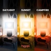 image:imagehooga Circadian Rhythm Full Spectrum LED Light Bulb  2700K 2100K 1400K FlickerFree Blue Light Free Night Mode 7W Energy Efficient Warm White for Sleep Relaxation amp Focus  4 PackCircadian 2pack
