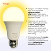 image:imagehooga Circadian Rhythm Full Spectrum LED Light Bulb  2700K 2100K 1400K FlickerFree Blue Light Free Night Mode 7W Energy Efficient Warm White for Sleep Relaxation amp Focus  4 PackCircadian 2pack